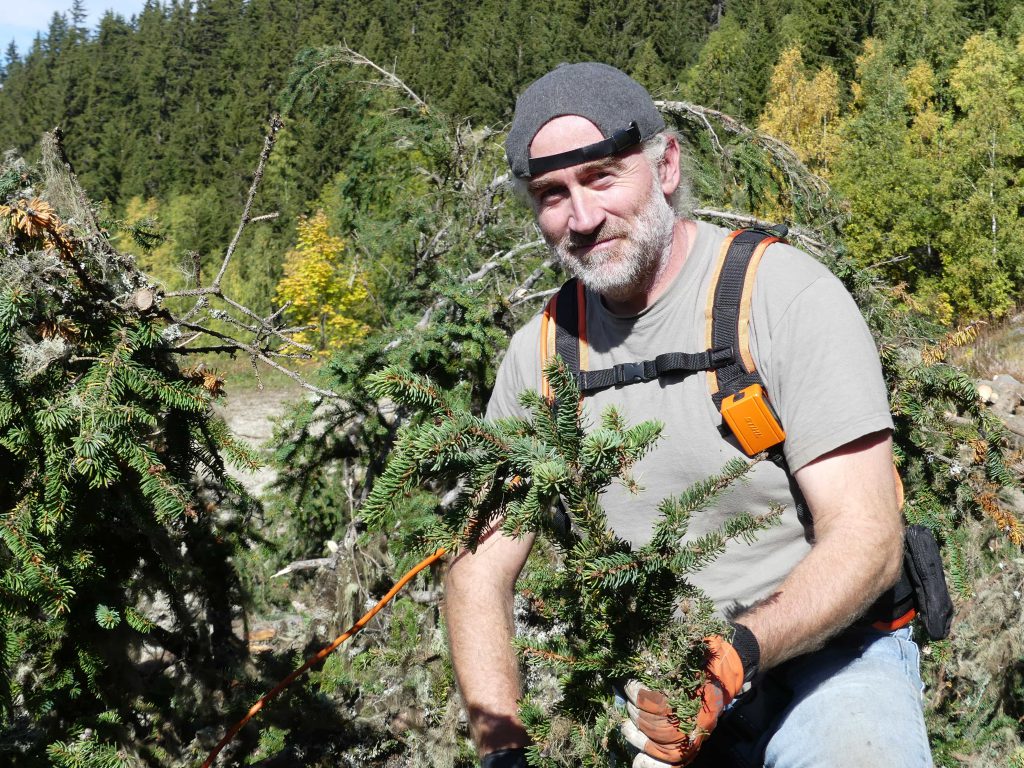 thierry minois les sens des alpes