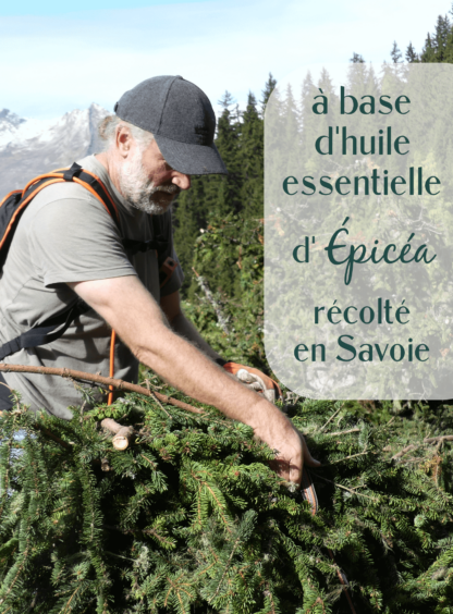 un homme qui récolte de l'épicéa dans la forêt