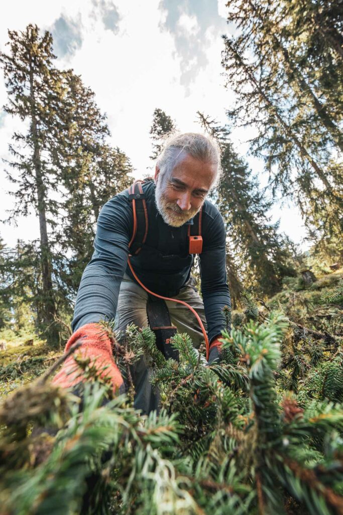 Thierry en récolte en forêt